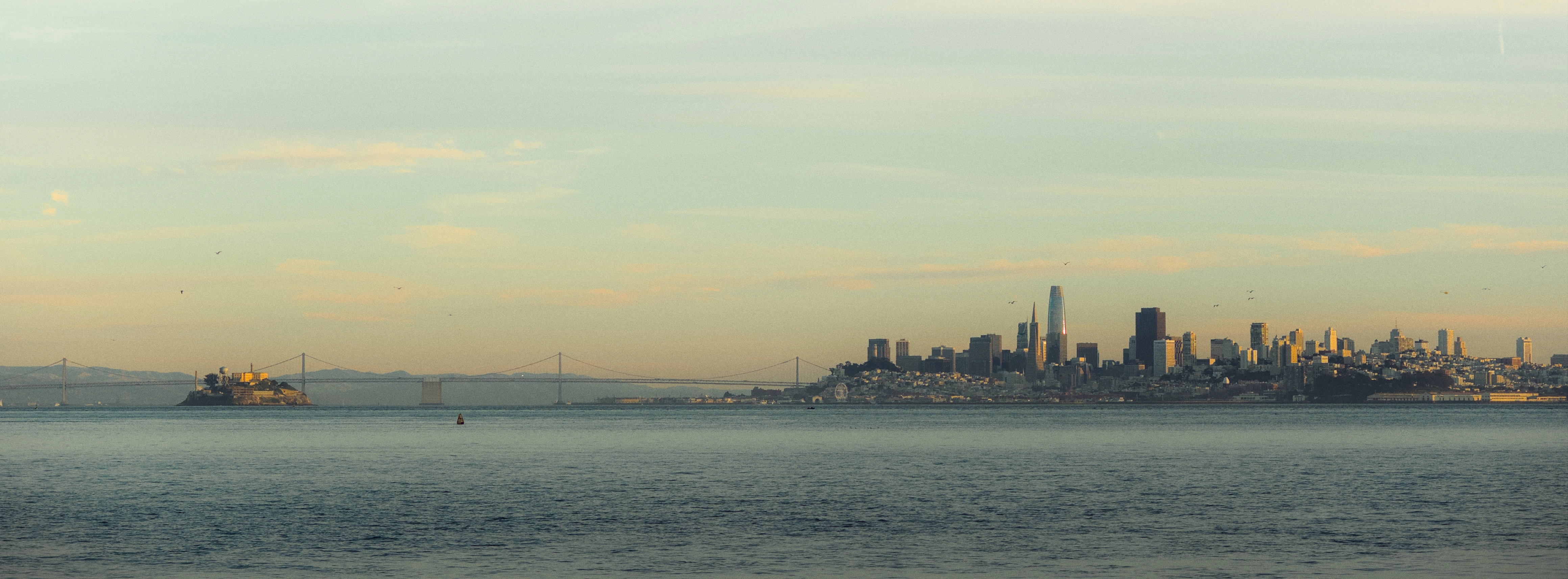 Wide cropped view of the San Francisco skyline from across the bay.