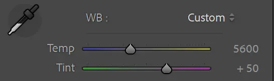 Lightroom white balance sliders for temperature and tint.